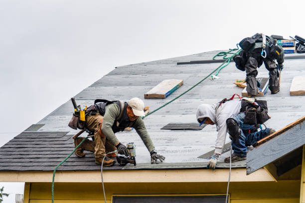 Professional Storm Damage Roof Repair technician working in Lynnville, IA